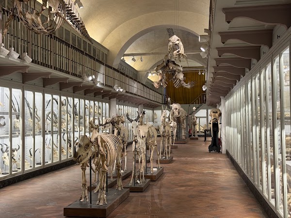 Museo Storia Naturale - La Specola 4