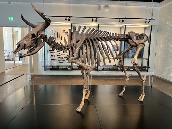 National Museum of Denmark 4