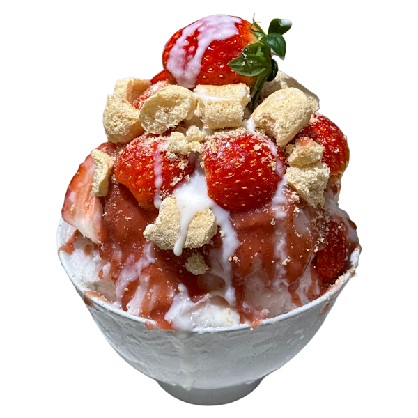 치즈앤 CHIZN 5