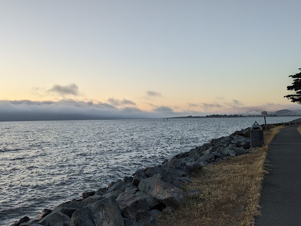 Emeryville Marina Park 5