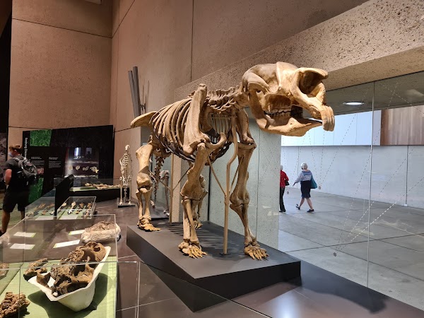 Queensland Museum Kurilpa 5