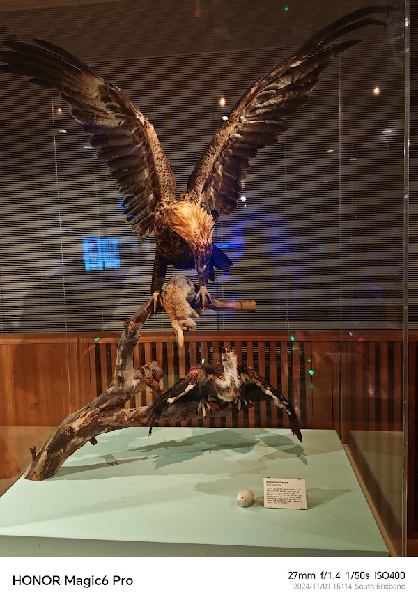 Queensland Museum Kurilpa 4