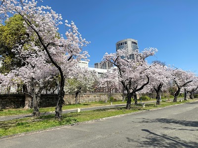 Kema Sakuranomiya Park 2
