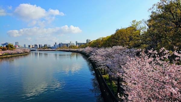 Kema Sakuranomiya Park 1