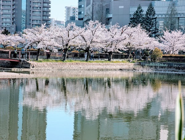 Kema Sakuranomiya Park 6
