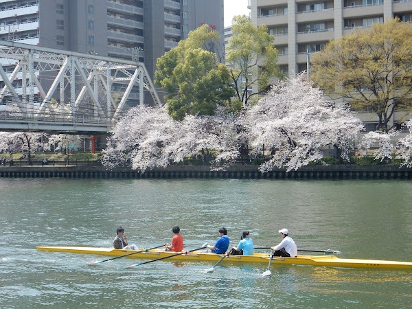 Kema Sakuranomiya Park 5