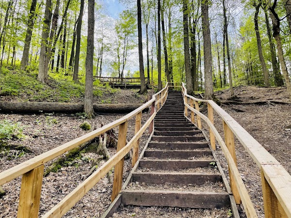 99 Steps
