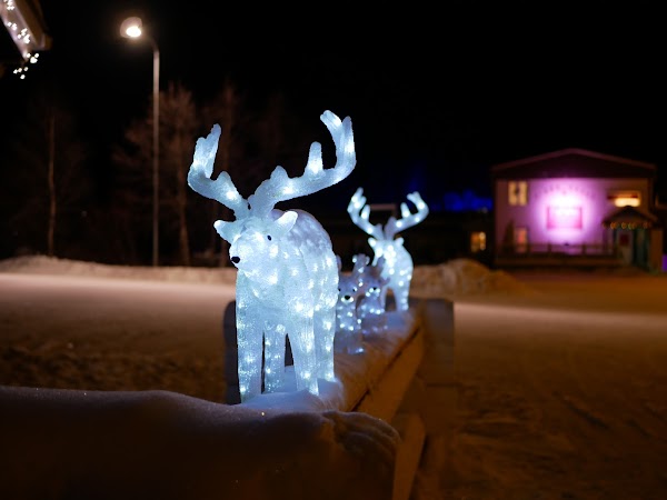 Lapland 3
