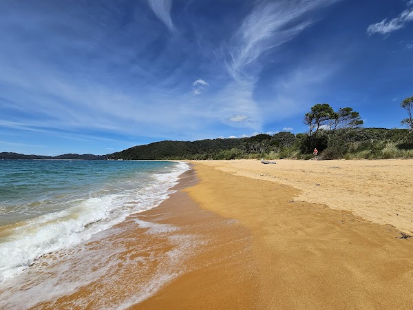 Tōtaranui Beach 1