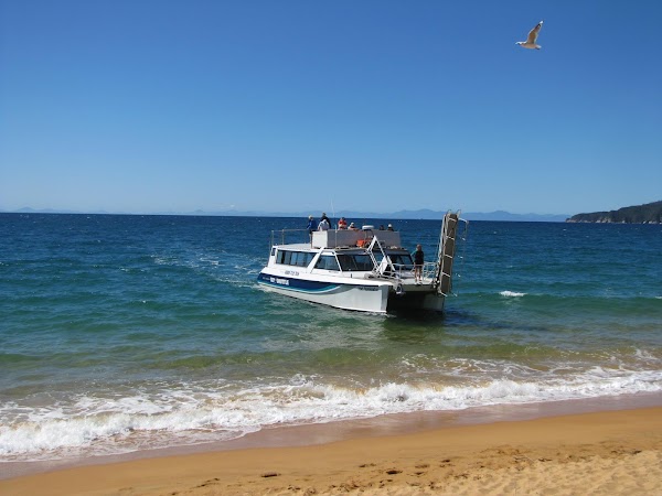 Tōtaranui Beach 4