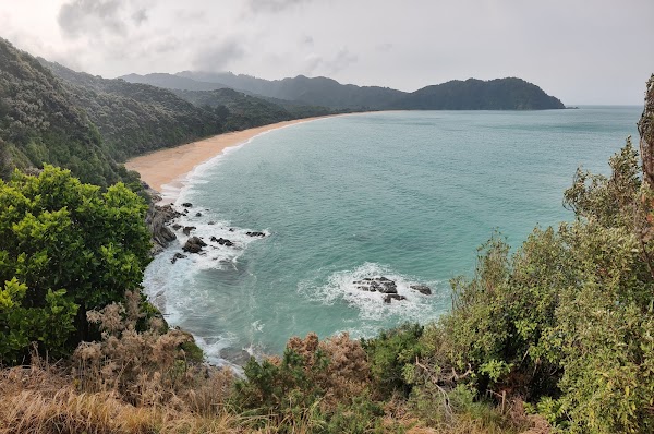 Tōtaranui Beach 3