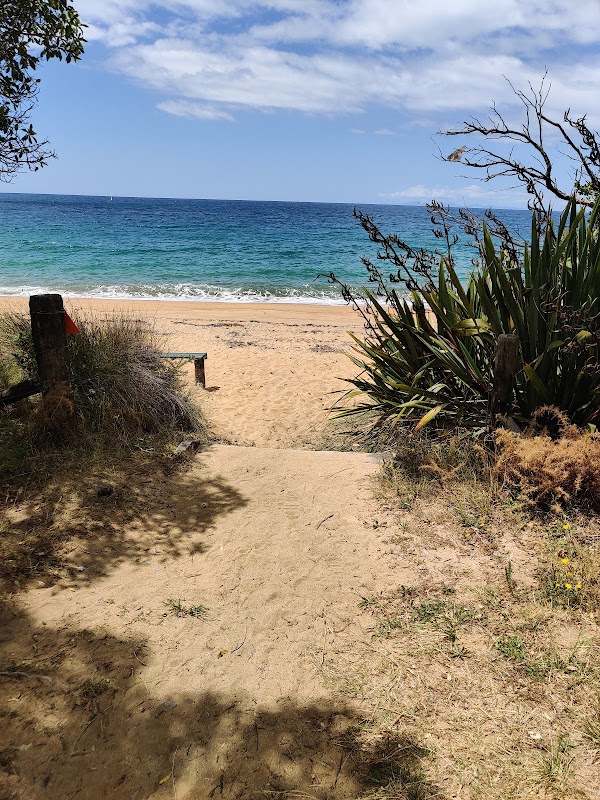 Tōtaranui Beach 2