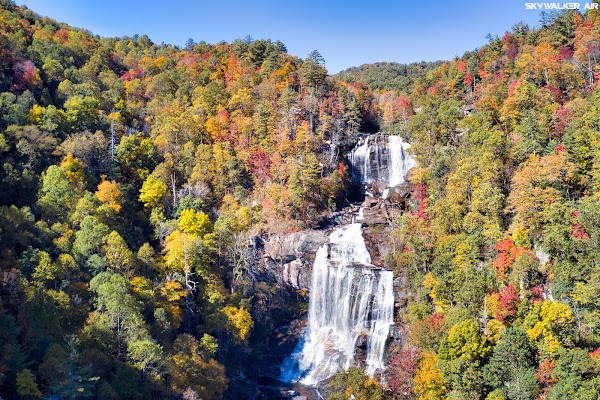 North Carolina 9