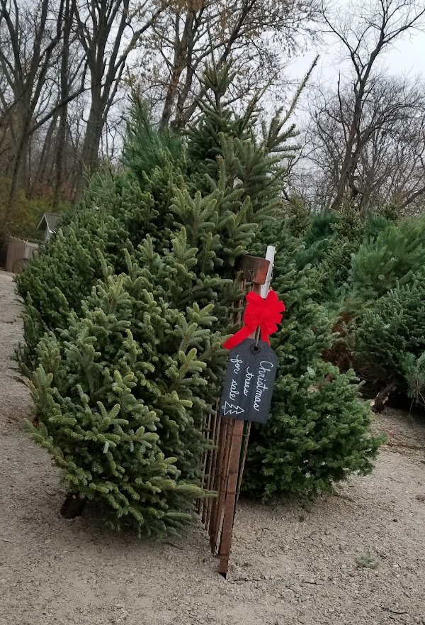 Schmitt Family Tree Farm 1