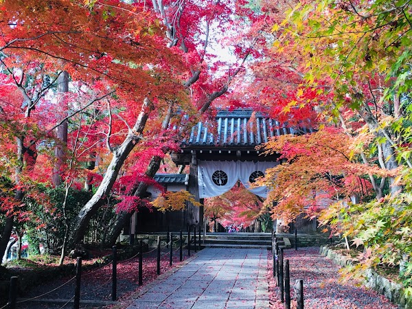 Kōmyō-ji Temple