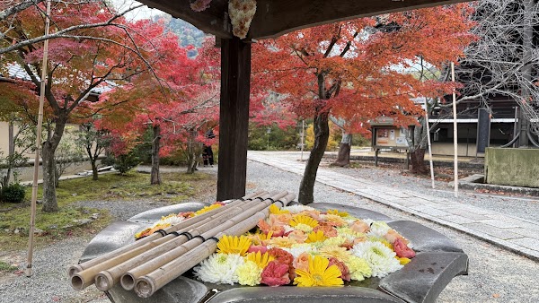 Kōmyō-ji Temple 5