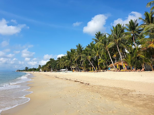 Lamai Beach 5