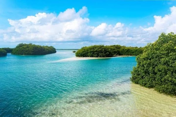Reserva de la Biósfera Sian Ka'an 5