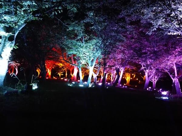 Tokiwa Park 3