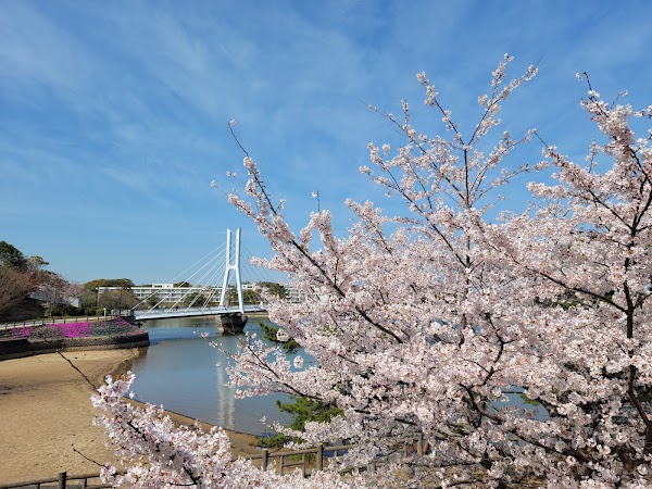 Tokiwa Park 2