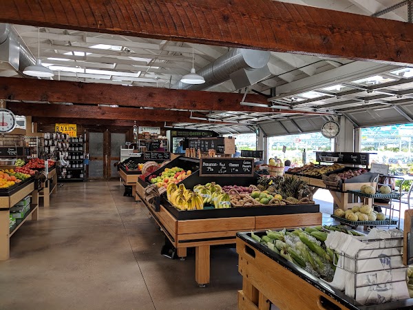 Nick's Garden Center & Farm Market 4