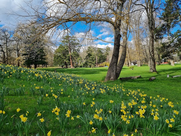 Kyneton Botanic Gardens 1