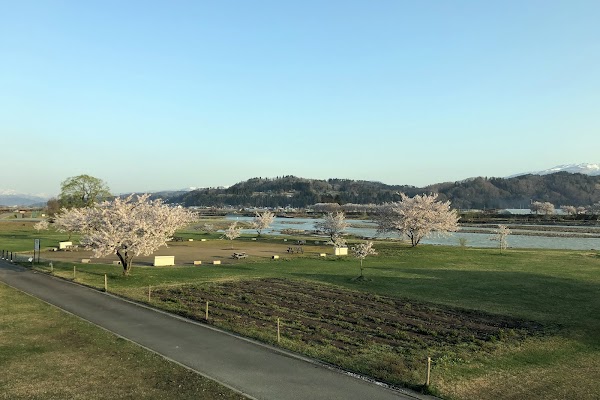 Cherry Land Kasenjiki Park 3