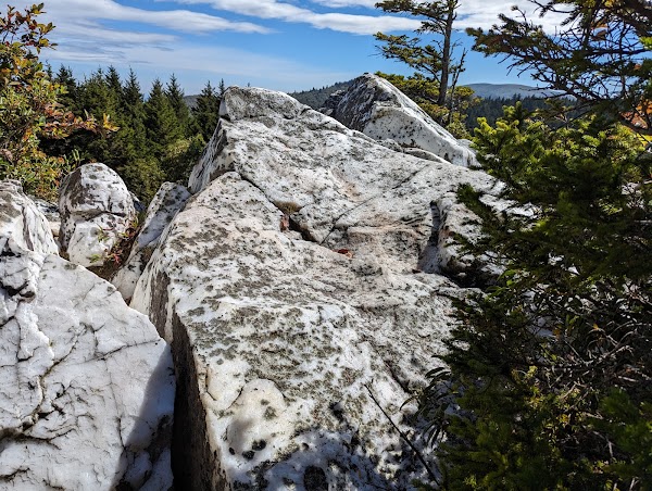 Shining Rock Wilderness