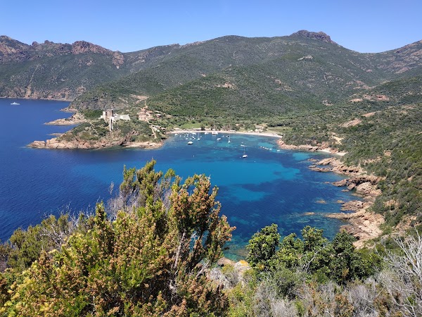 Girolata