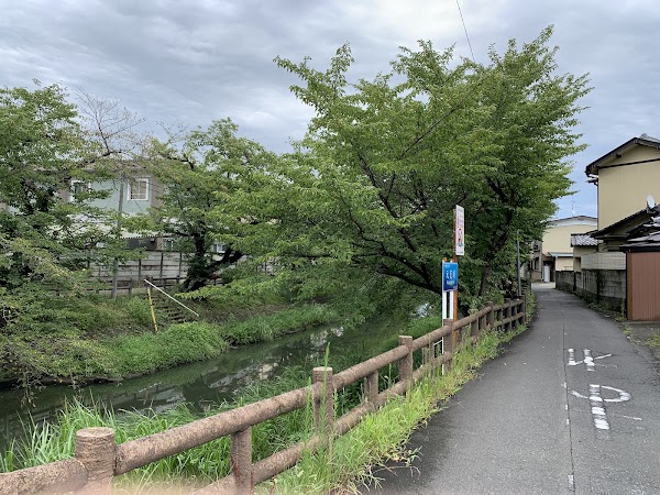 Motoara River 5