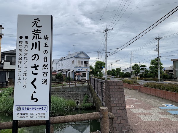 Motoara River 4