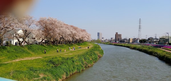 Motoara River 3