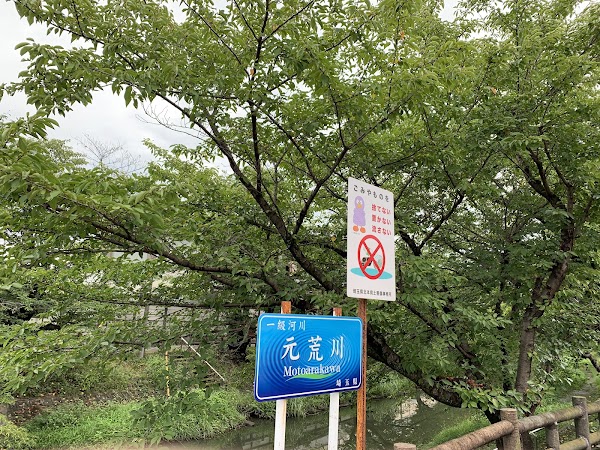Motoara River 2