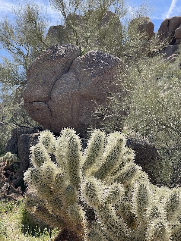 Pinnacle Peak 3