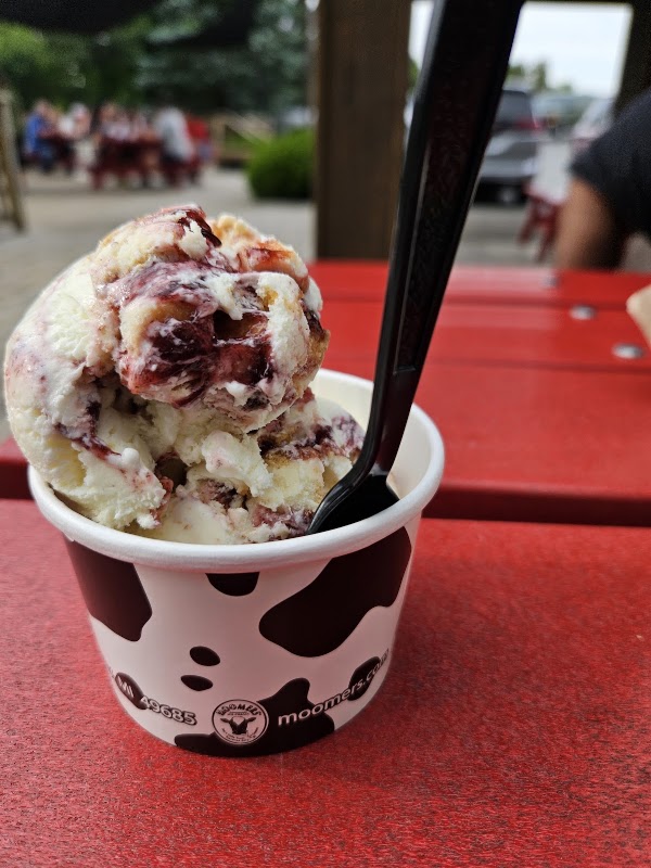 Moomers Homemade Ice Cream 3