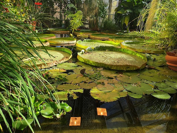 The Botanical Garden 1