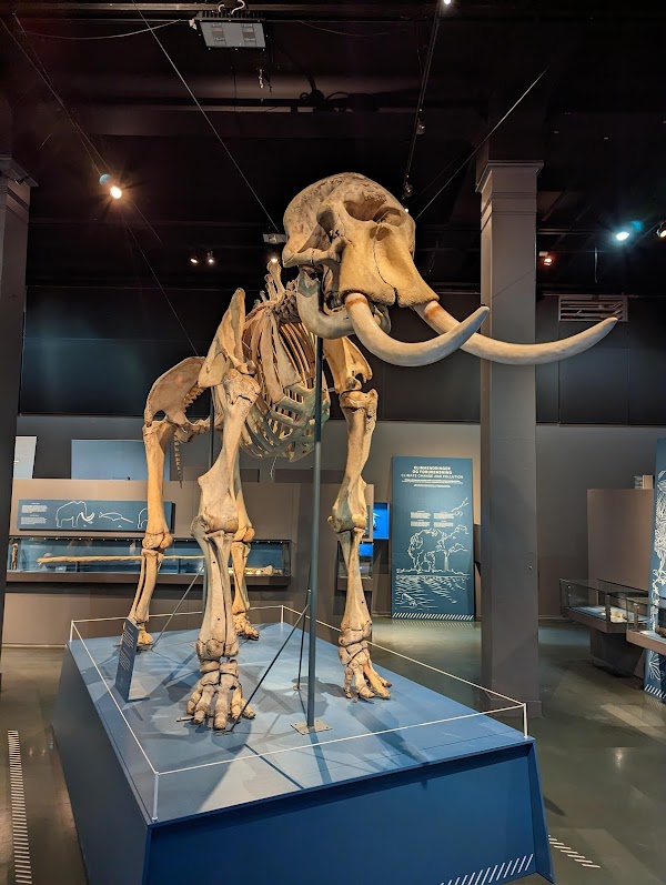 The Botanical Garden 3