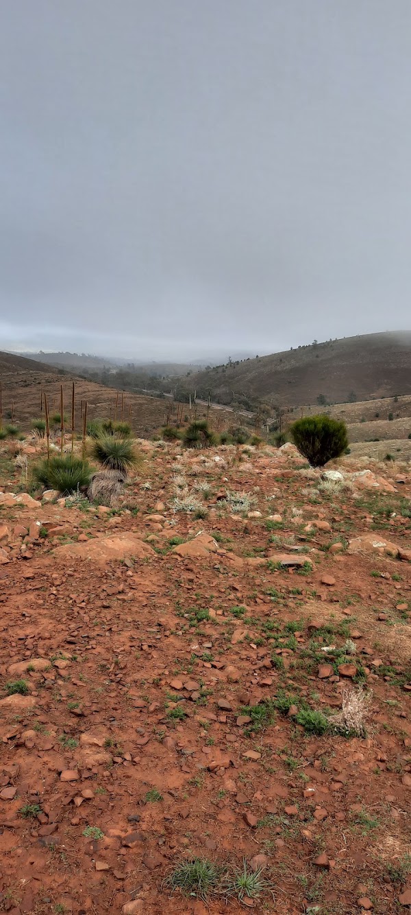 Pugilist Hill 2