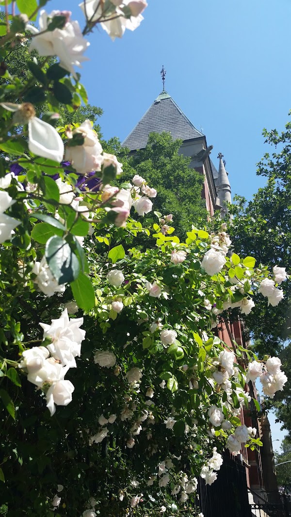 Greenwich Avenue 2