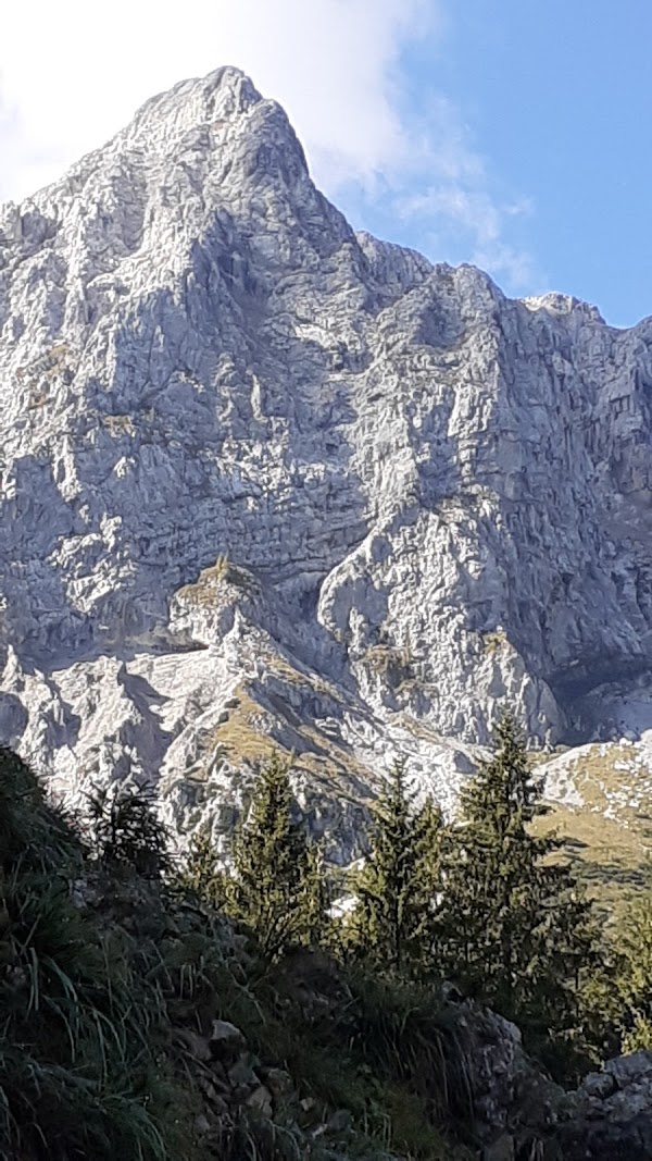 La Papera di Ponte Nossa 3
