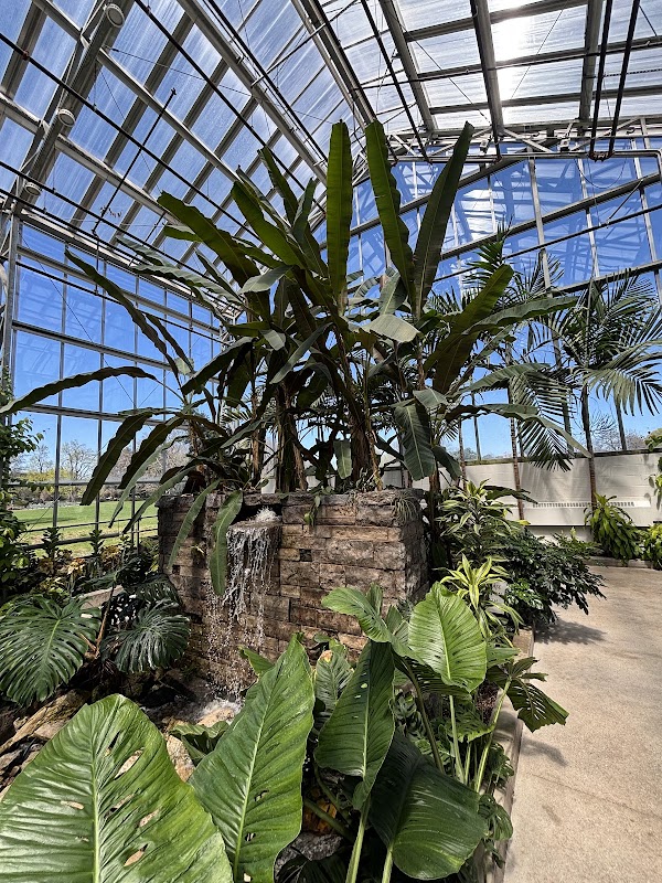 Gage Park Tropical Greenhouse