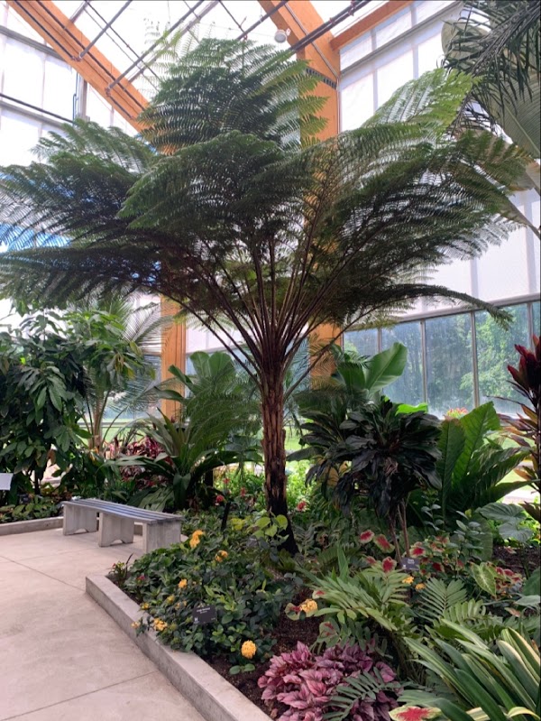 Gage Park Tropical Greenhouse 2