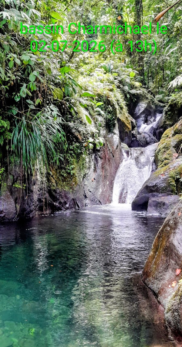 Trace Cascades Carmichael