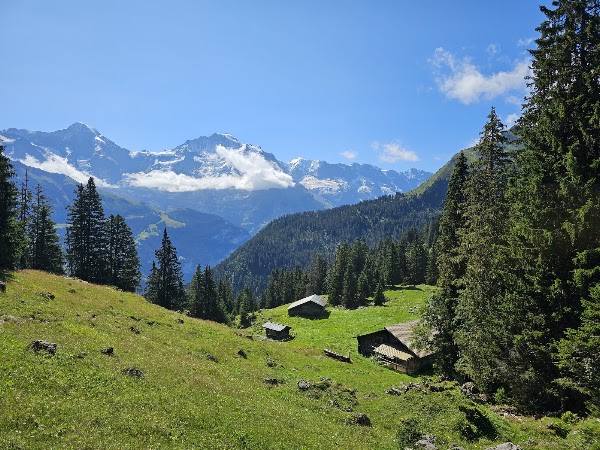 Aussichtspunkt Sulwald 5