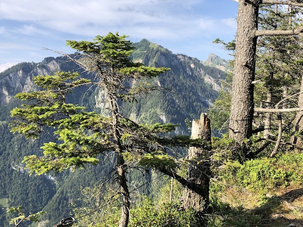 Aussichtspunkt Sulwald 2