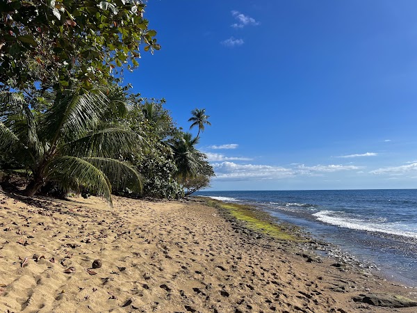 Reserva Marina Tres Palmas