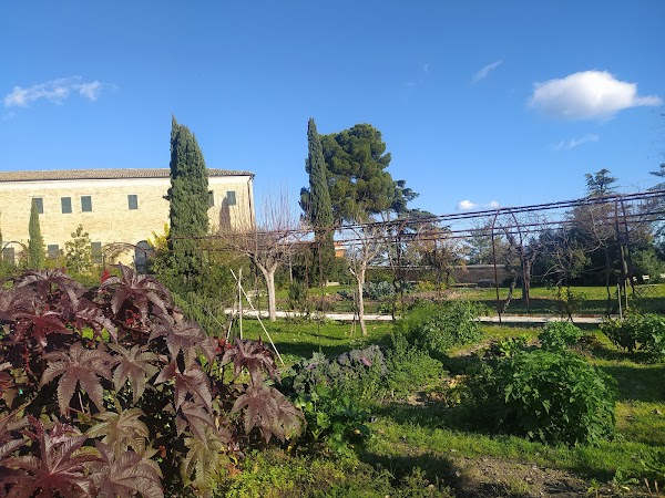 Recanati 1