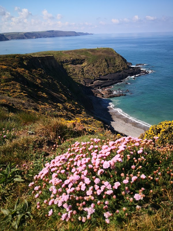Devon