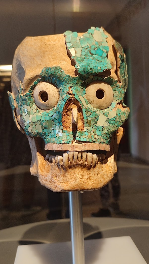 Museum of Cultures of Oaxaca, Santo Domingo 5