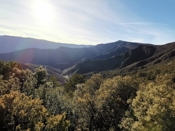Mont Aigoual 5